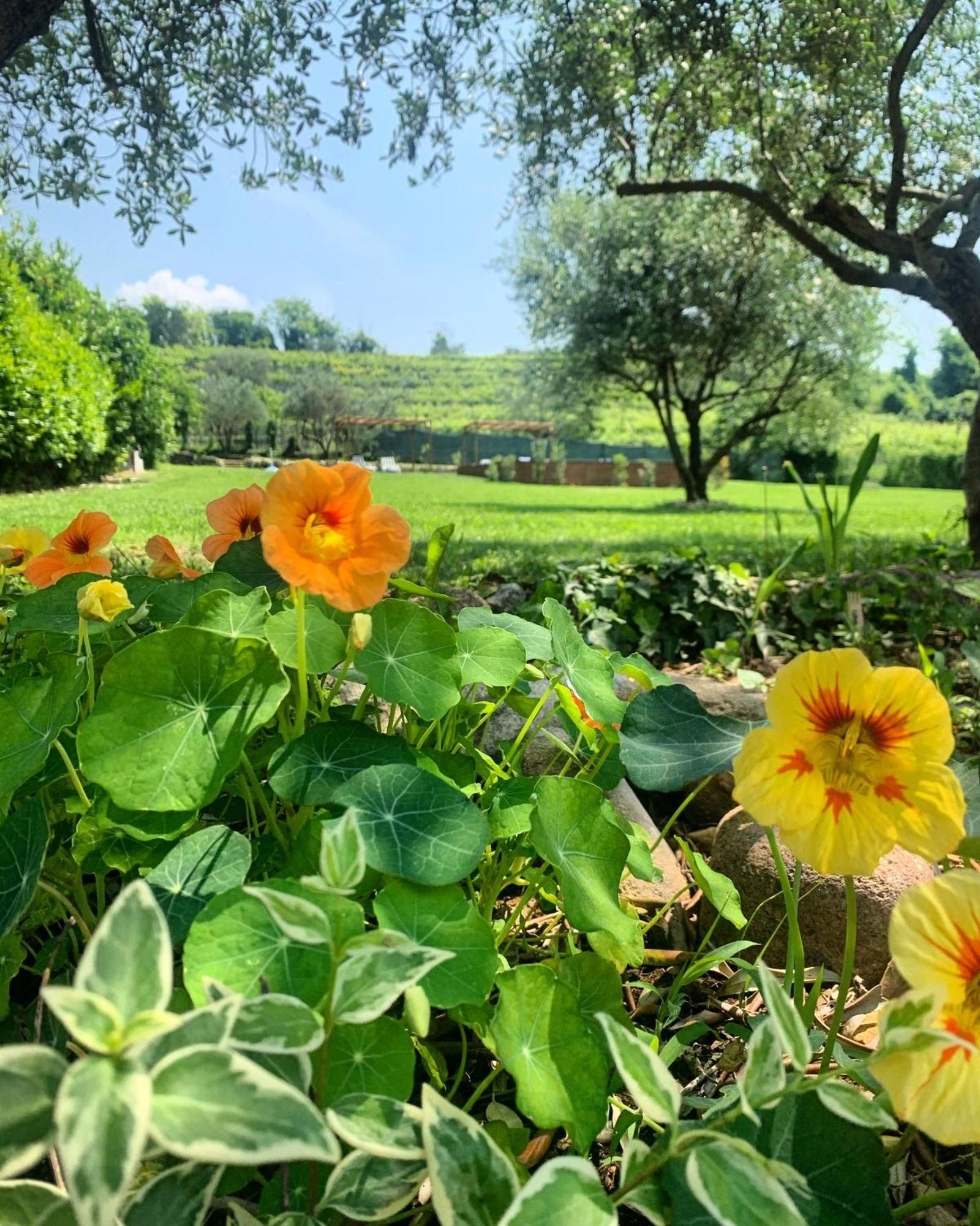 Relais Valpolicella B&B 마라노 디 발포리첼라 외부 사진