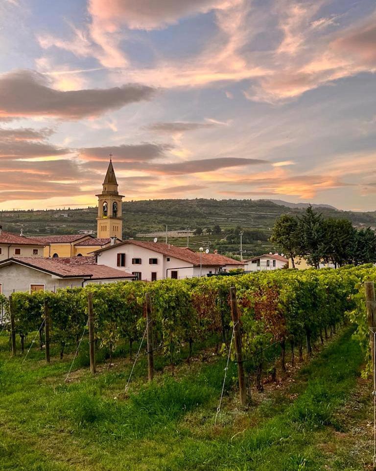 Relais Valpolicella B&B 마라노 디 발포리첼라 외부 사진